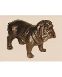 Standing Bulldog